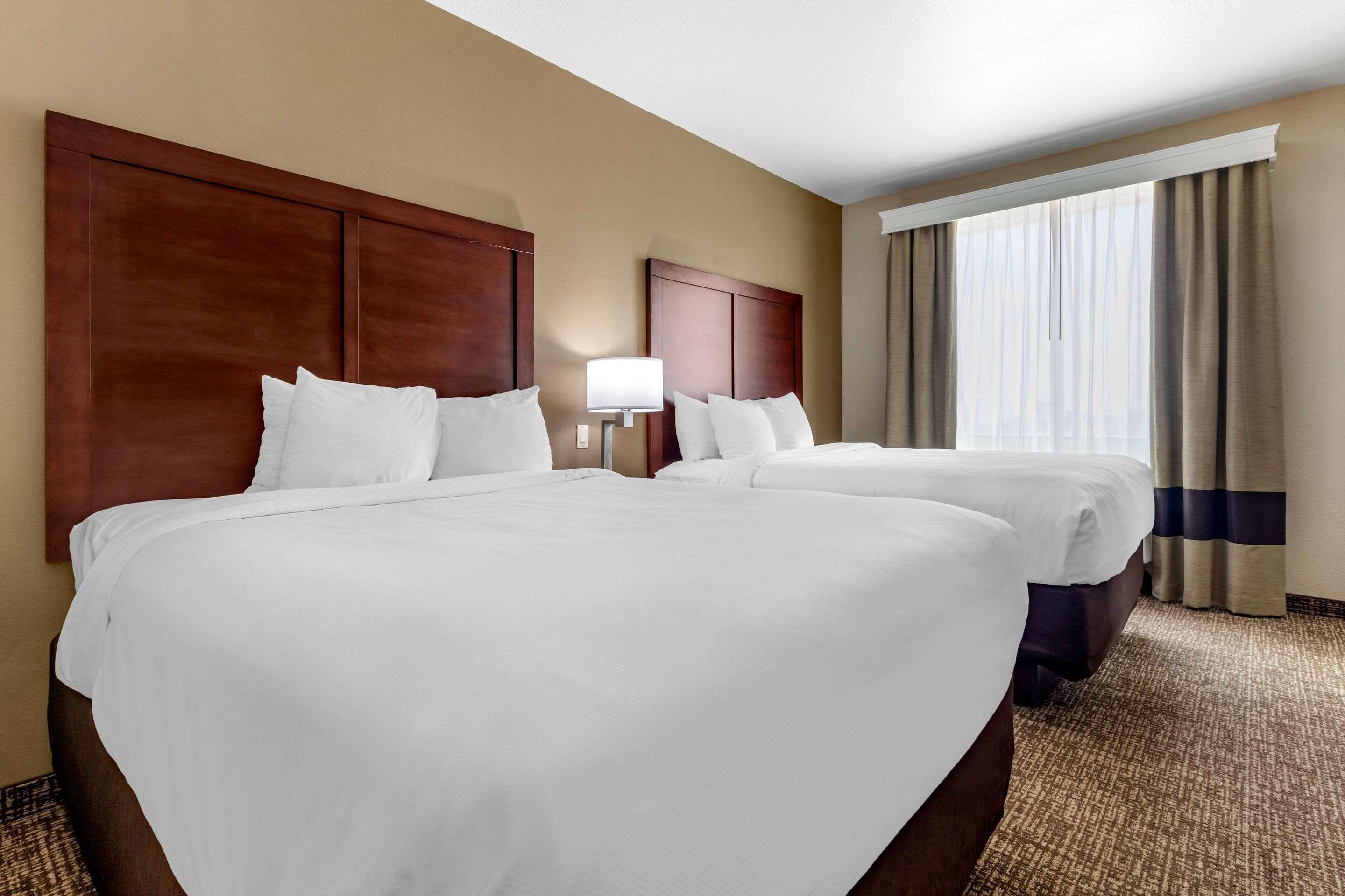 Comfort Inn & Suites Near Lake Lewisville Corinth Extérieur photo